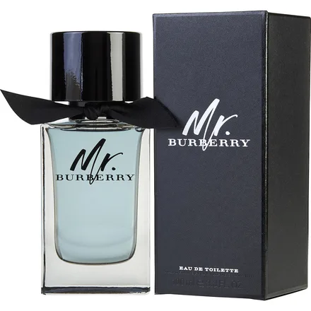 Burberry Mr Eau Toilette Edt 100ml