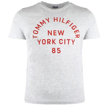 Camiseta Tommy Hilfiger Masculino 061 06