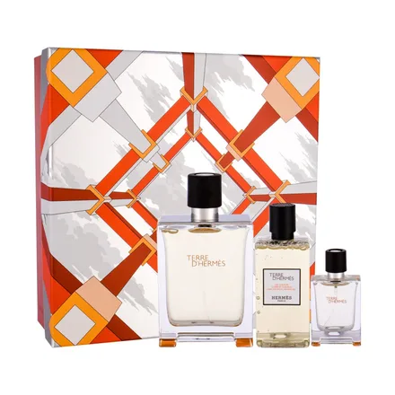 Hermes Terre Eau Toilette Ml Plus Shower Gel 100ml