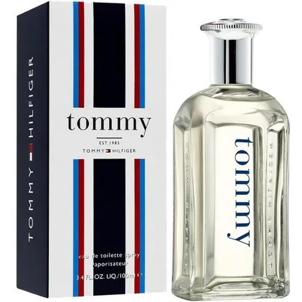 Perfume Tommy Hilfiger Eau Toilette Masculino 100ml