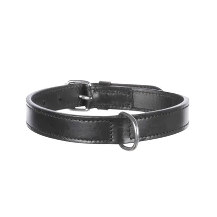 Collar Perro Trixie 36