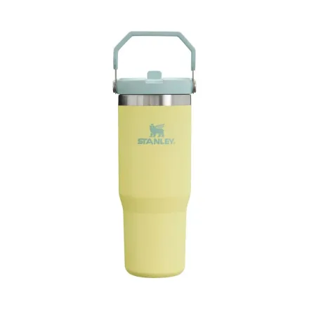 Stanley Tumble Flip 10 799 887ml