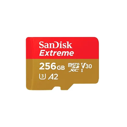 Cartao Sdxc Extreme Sdsqxav 256g 256GB