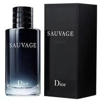 Perfume Christian Dior Sauvage Eau Toilette Masculino 100ml