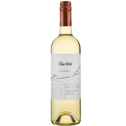 Vinho Terranoble Reserva Sauvignon Blanc 750ml
