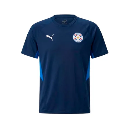 Remera Puma 69704102 Apf Masculino