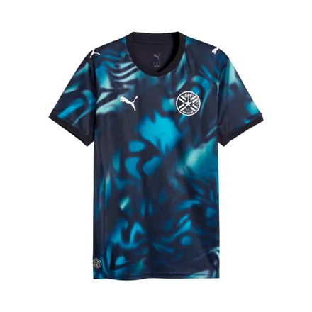 Remera Paraguay Puma Away Masculino 2026
