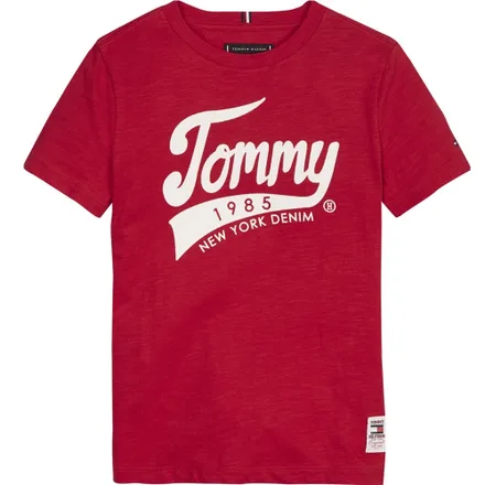 Camiseta Tommy Hilfiger Infantil Masculino XA9 00 06 Racing