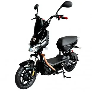 Moto X13