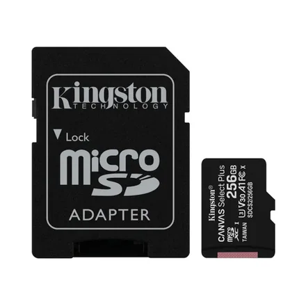 Sd Canvas Select 256GB