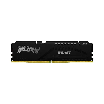 Fury Beast Ddr 5 Mem