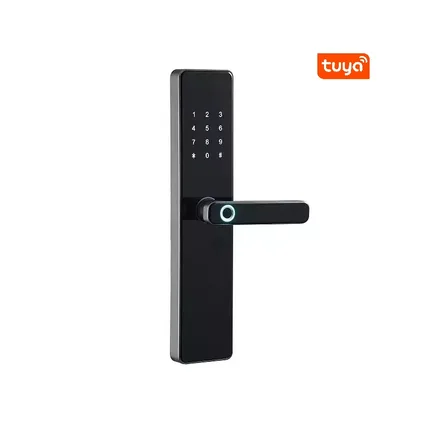 Fechadura Digital S819 Tuya Cartao Chave