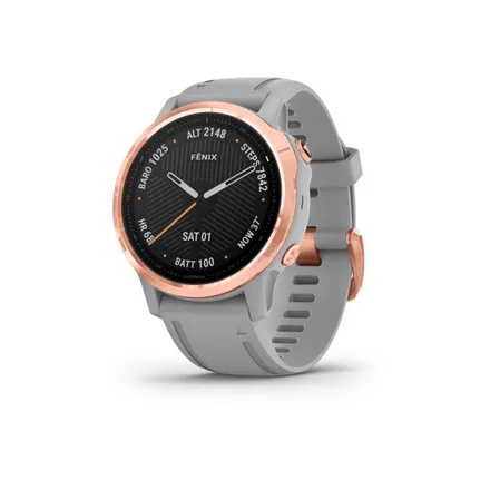 Fenix 6S 010 23