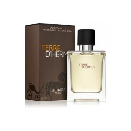 Hermes Terre Masculino Eau Toilette 50ml
