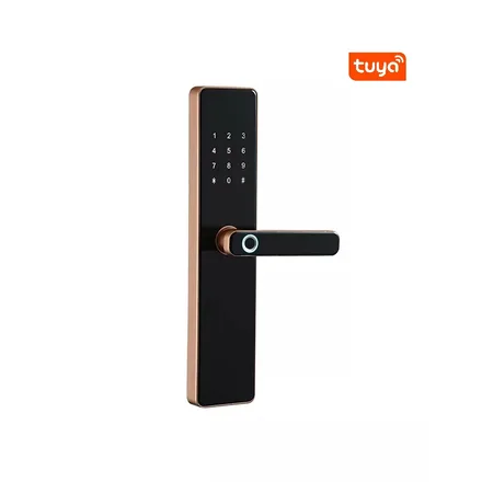 Fechadura Digital S819 Tuya Cartao Chave