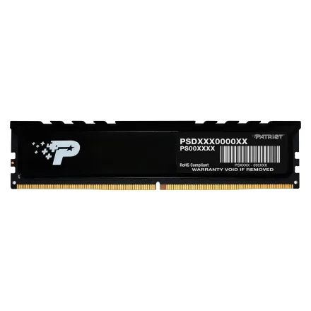 Patriot Signature Ddr 5 5600