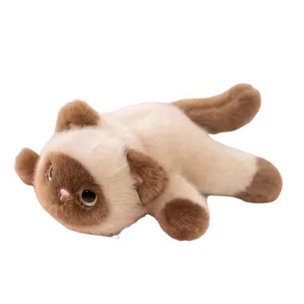 Peluche Con Iman Gato Siames Mz 355