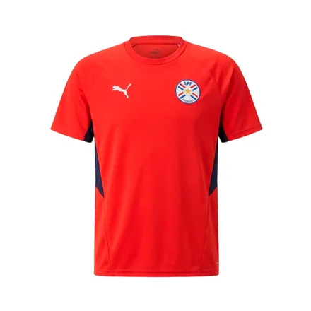 Remera Puma 69704101 Apf Masculino