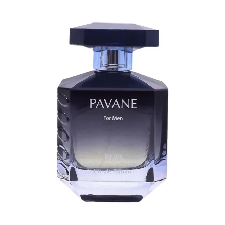 Elodie Roy Perfume Pavane Intense Men Eau Parfum 100ml