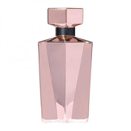 Perfume Animale Seduction Femme Eau Parfum Feminino 100ml