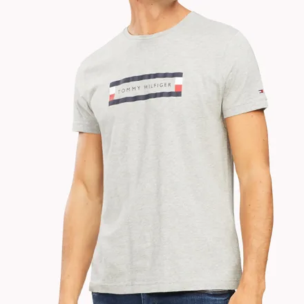 Camiseta Tommy Hilfiger Masculino P9V 00 Heather