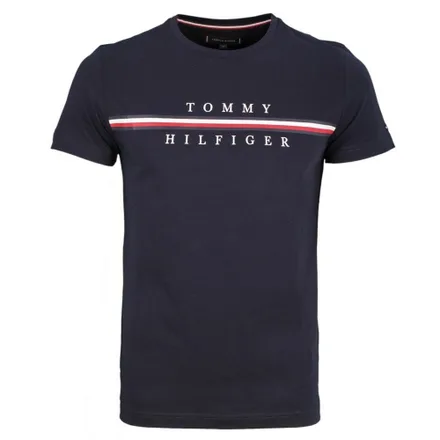 Camiseta Tommy Hilfiger Masculino DW5 0L