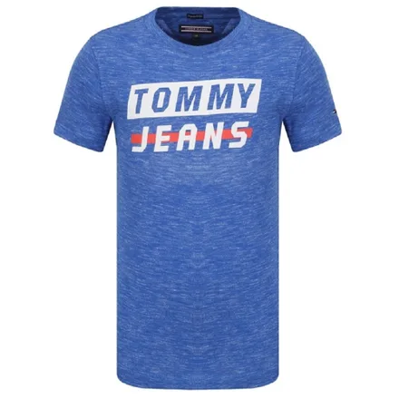 Camiseta Tommy Hilfiger Masculino 495 12 Multi