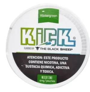 Sheep Bolsa Nicotina Kick Wintergreen 4MG