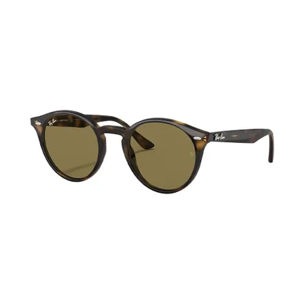 Lente Ray Ban 2180 710 73 51