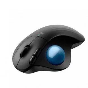 Mouse Ergo 910