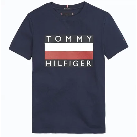 Camiseta Tommy Hilfiger Infantil Masculino Cbk 03 04 Iris