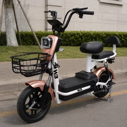 MOTO ELÉTRICA WB ELECTRIC DHY 500 W