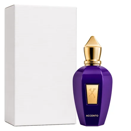 Perfume Xerjoff Accento Eau Parfum Unissex Tester 100ml