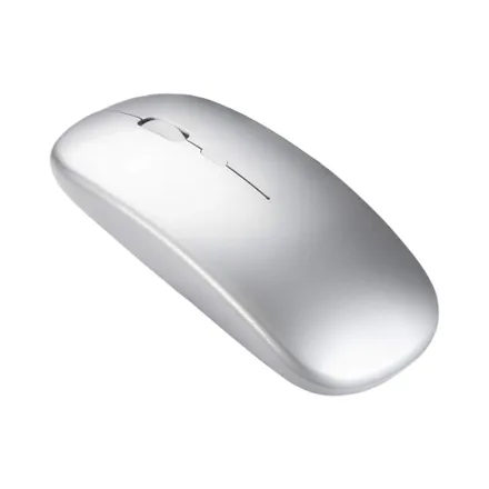 Mouse MS04