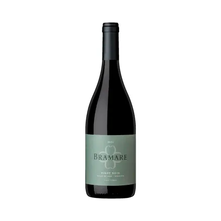 Vino Cobos Bramare Valle Uco Pinot Noir 750ml