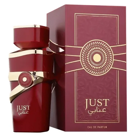 Perfume Fragrance World Just Anabi Eau Parfum Feminino 100ml