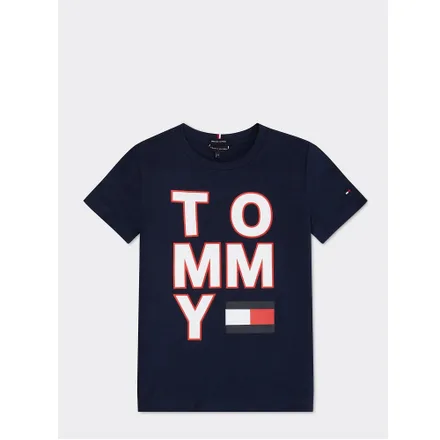 Camiseta Tommy Hilfiger Infantil Masculino Cbk 03 06 Iris