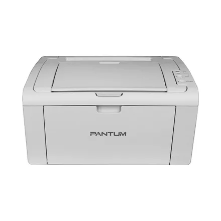 Impresora Láser Pantum P2509 W Wi Fi 220 V Gris