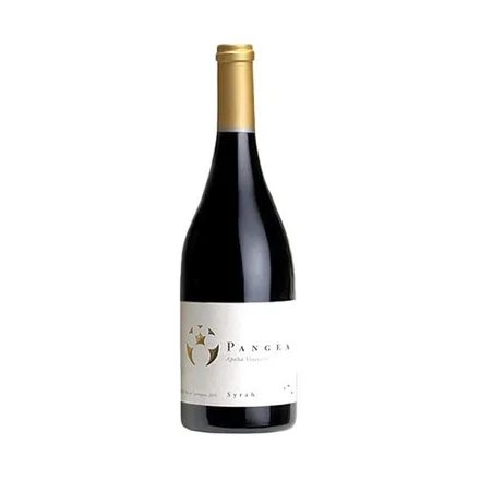Vino Chileno Tinto Pangea Apalta Vineyard Syrah 750ml