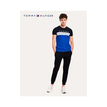 Camiseta Tommy Hilfiger Masculino 0A4 02 Cobalt Multi