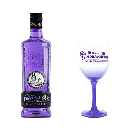 Gin Puerto Indias Blackberry Plus Copo 700ml