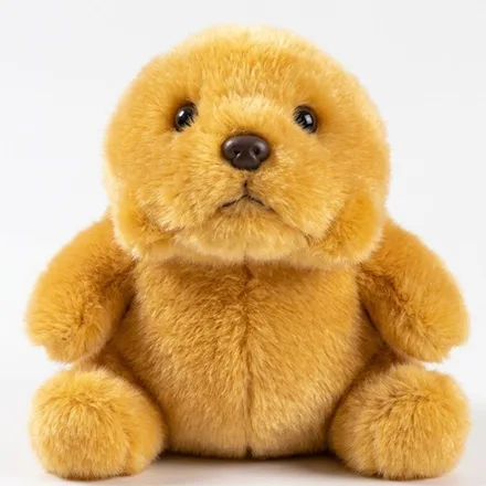 Peluche Con Iman Oso Mz 351