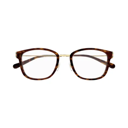 Lente Gucci 1886 Oa 002 53 Femenino