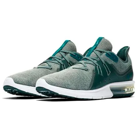 Tenis Nike Masculino 302