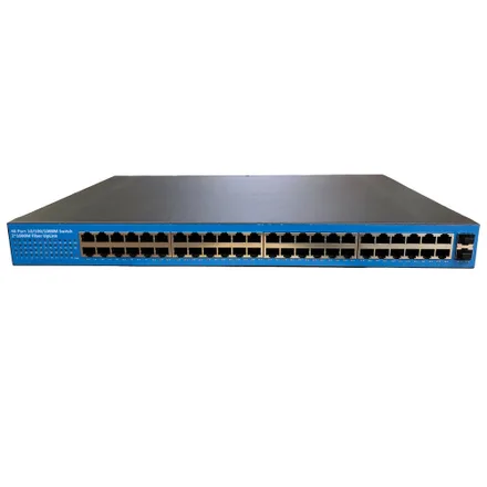 Switch 48GE 100 Plus 2GF