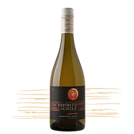 Vino Chileno Espiritu Chile Winewmaker Coleccion Sauvignon Blanc 750M