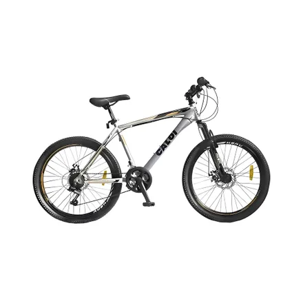 Bicicleta Caloi Rider Sport 24