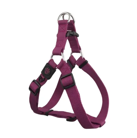 DOCO ARNES P/PERRO SIGNATURE DCSN202 MORADO XS