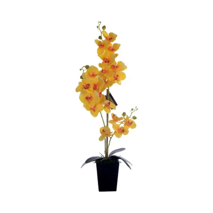 Orquidea Artificial En Maceta Concepts 592