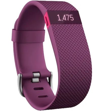 Monitor de Frequência Cardíaca e Atividade Fitbit FB405PMS Bluetooth – Roxo SMALLFB405PMS